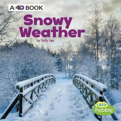 Book cover for Snowy Weather: a 4D Book (All Kinds of Weather)