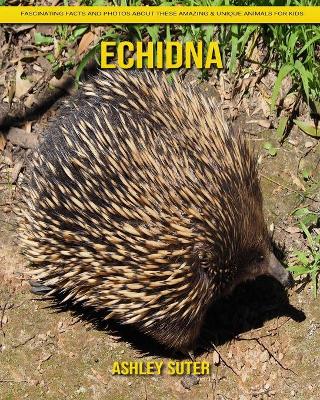 Book cover for Echidna