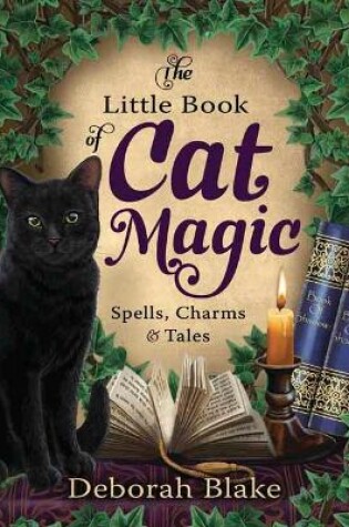 Cover of The Little Book of Cat Magic