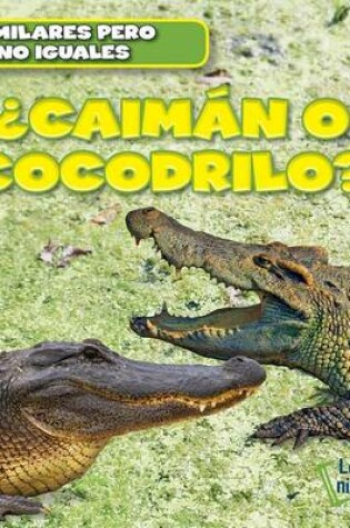 Cover of ¿Caimán O Cocodrilo? (Alligator or Crocodile?)