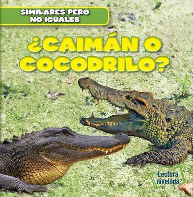 Book cover for ¿Caimán O Cocodrilo? (Alligator or Crocodile?)