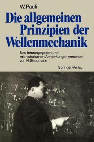 Cover of Die allgemeinen Prinzipien der Wellenmechanik