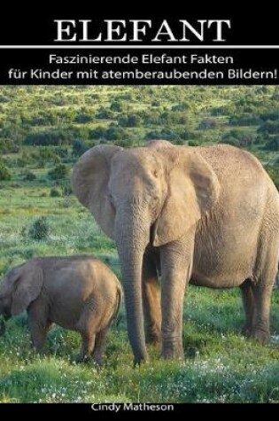 Cover of Elefant