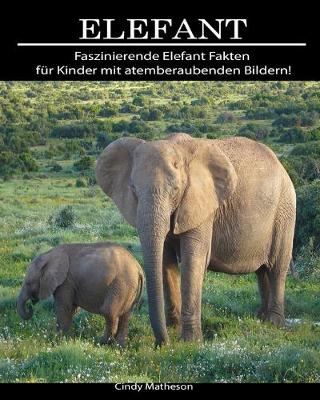 Book cover for Elefant