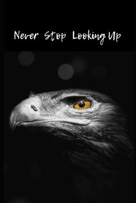 Book cover for Never Stop Looking Up