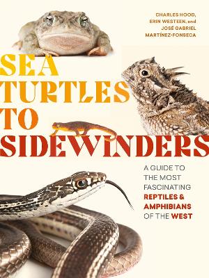 Cover of Sea Turtles to Sidewinders a Guide to the Most Fascinating Reptiles and Amphibians of the West