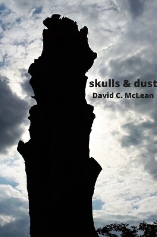 Cover of skulls & dust