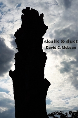 Book cover for skulls & dust