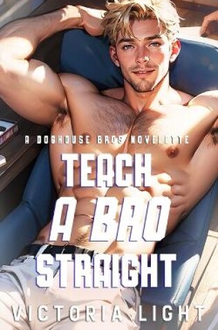 Cover of Teach A Bro Straight