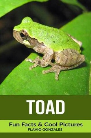 Cover of Toad