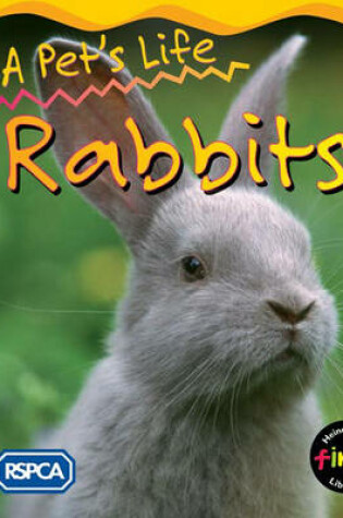 Cover of Rabbit