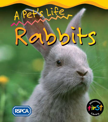 Book cover for Rabbit