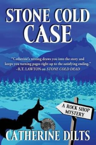 Cover of Stone Cold Case