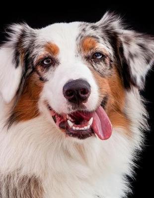 Book cover for Australian Shepherd Notebook