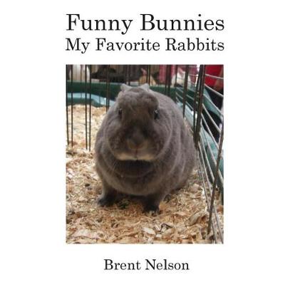 Book cover for Funny Bunnies