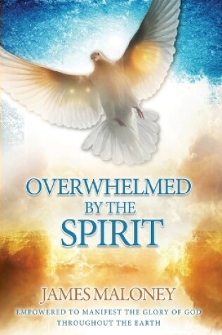 Cover of Overwhelmed by the Spirit