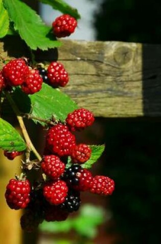 Cover of Blackberries on the Vine Starting to Ripen