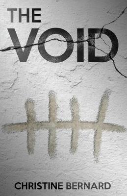 Book cover for The Void