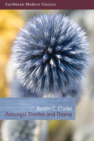 Cover of Amongst Thistles and Thorns