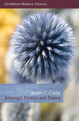 Book cover for Amongst Thistles and Thorns