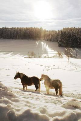 Book cover for Horses in Winter Journal