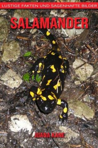 Cover of Salamander