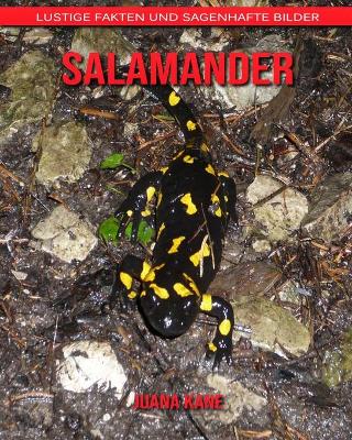 Book cover for Salamander