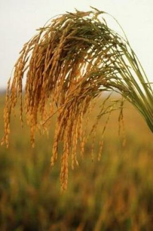 Cover of Farm Journal Long Grain Rice Growing In Field