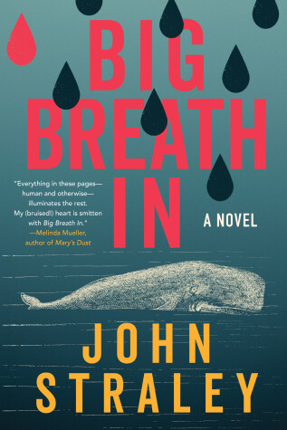 Book cover for Big Breath In