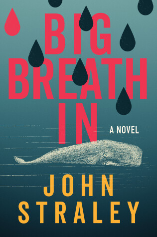 Cover of Big Breath In