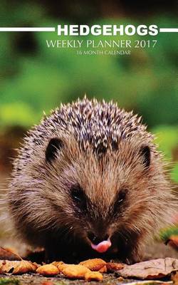 Book cover for Hedgehogs Weekly Planner 2017