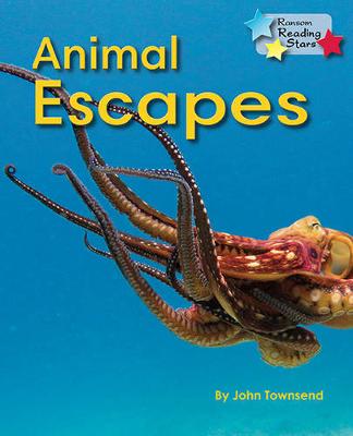Book cover for Animal Escapes 6-Pack