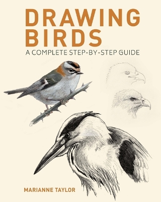 Book cover for Drawing Birds