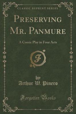 Book cover for Preserving Mr. Panmure