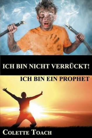 Cover of Ich Bin Nicht Verrueckt - Ich Bin Ein Prophet