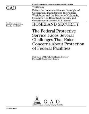 Book cover for Homeland Security