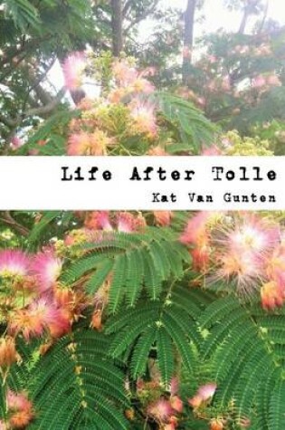 Cover of Life After Tolle