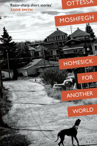 Cover of Homesick For Another World