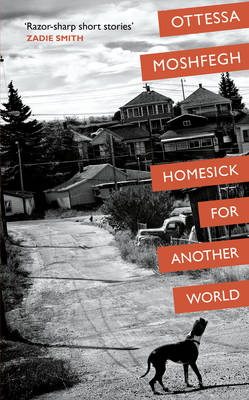 Book cover for Homesick For Another World