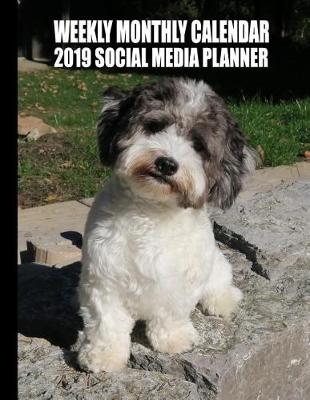 Book cover for Weekly Monthly Calendar 2019 Social Media Planner