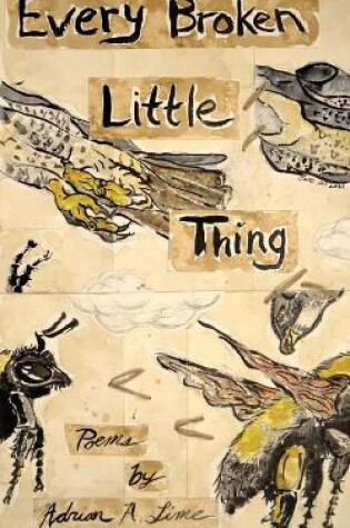 Cover of Every Broken Little Thing