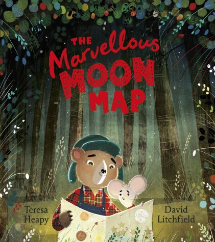 Book cover for The Marvellous Moon Map