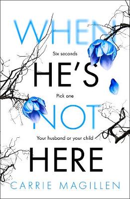 Cover of When He's Not Here