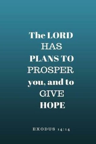 Cover of The Lord Has Plans to Prosper You and to Give You Hope