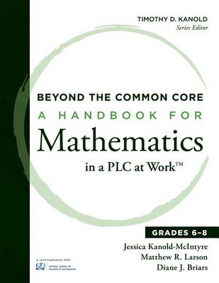 Book cover for Beyond the Common Core