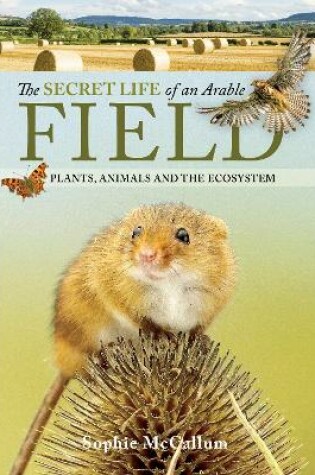 Cover of The Secret Life of an Arable Field