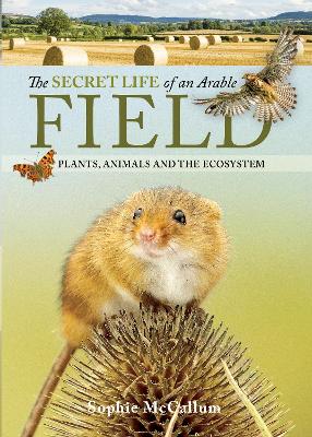 Book cover for The Secret Life of an Arable Field