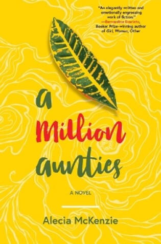Cover of A Million Aunties