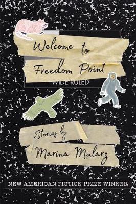 Book cover for Welcome to Freedom Point