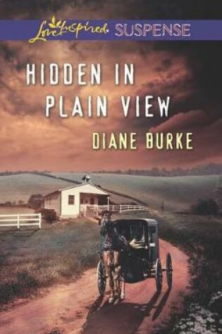 Cover of Hidden in Plain View